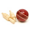 cricket balls manufacturers